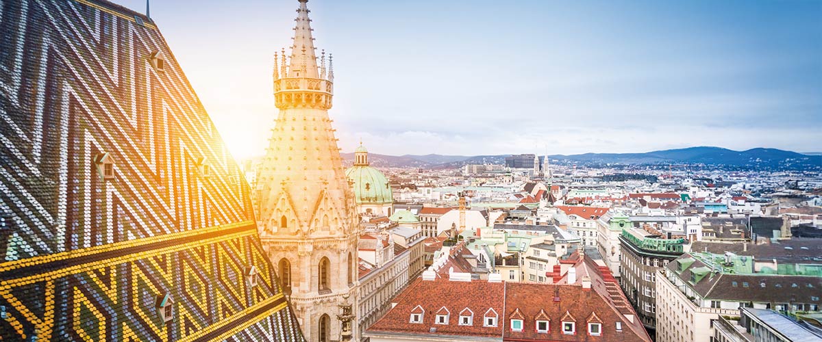 The rooftops of Vienna